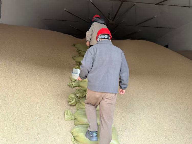 412fb17b299ef9158fb5676417b2ee0c.jpg 412fb17b299ef9158fb5676417b2ee0c.jpg